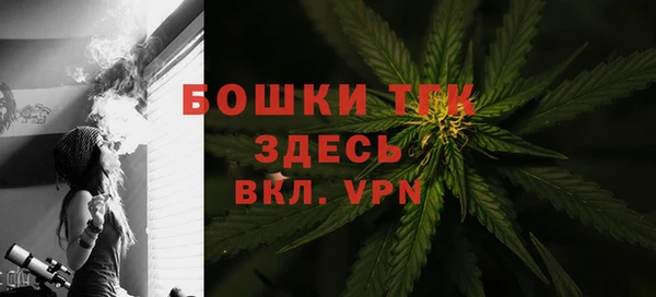 прущие крисы Арсеньев
