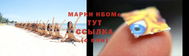 прущие грибы Алзамай