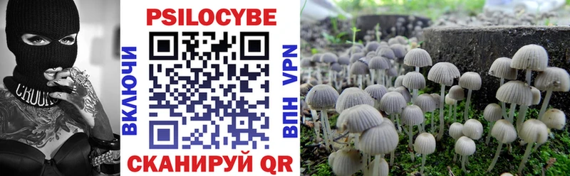 купить наркотики сайты мориарти Telegram Псилоцибиновые грибы Cubensis Медынь